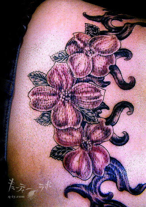 �L���[�e�B�[���{�E�M�������[ FILE1/34