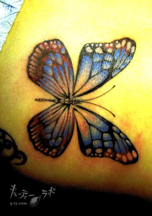 �L���[�e�B�[���{�E�M�������[ FILE4/08