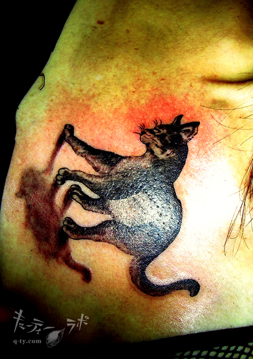 �L���[�e�B�[���{�E�M�������[ FILE3/08